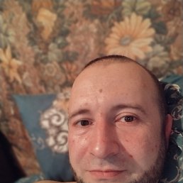 ���� ������, ������, 37 ��� - ��������� 22 ������� 2024