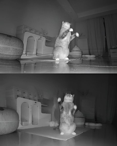 �������� ��� - 4