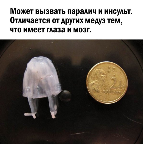      - 2