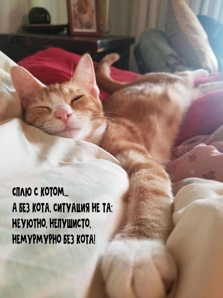  - 11  2024  18:04