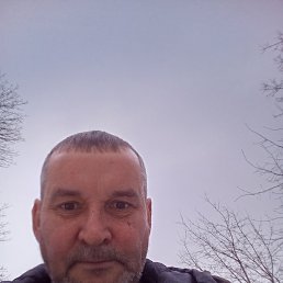 , 54 , 
