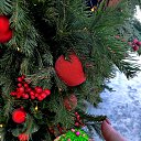 ���� �������, �����������, 46 ��� - ��������� 16 ������� 2025 � ������ ������ ��������