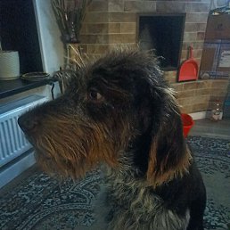 ����, ������, 39 ���