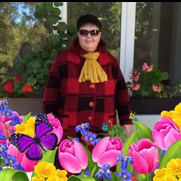 , 48, 