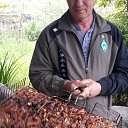 ���� ���������, ���������, 55 ��� - ��������� 21 ���� 2025 � ������ ���� ����������