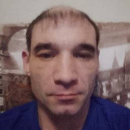 ����, ������, 41 ���