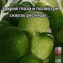 ���� ����, ���������, 68 ��� - ��������� 29 ���� 2025