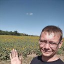  ,  , 50  -  26  2025    