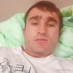 , 33 , 