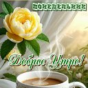 ���� ������, ������ - ��������� 31 ������� 2026 � ������ ������ ��������