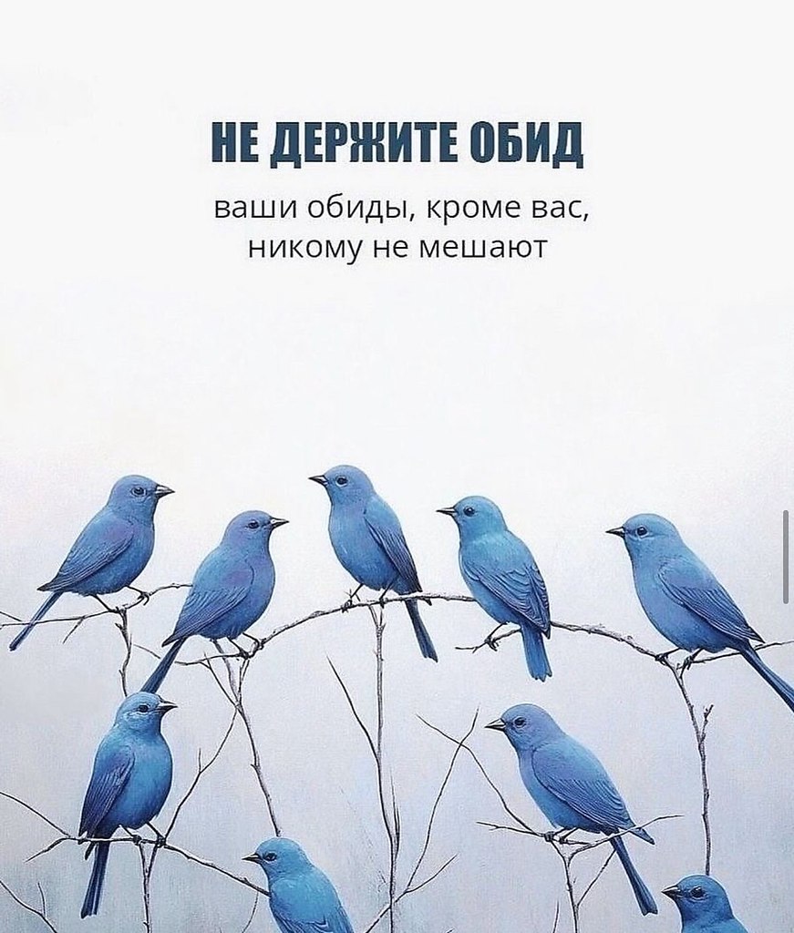   - 3  2025  10:39