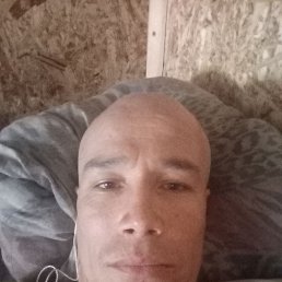 , 37,  
