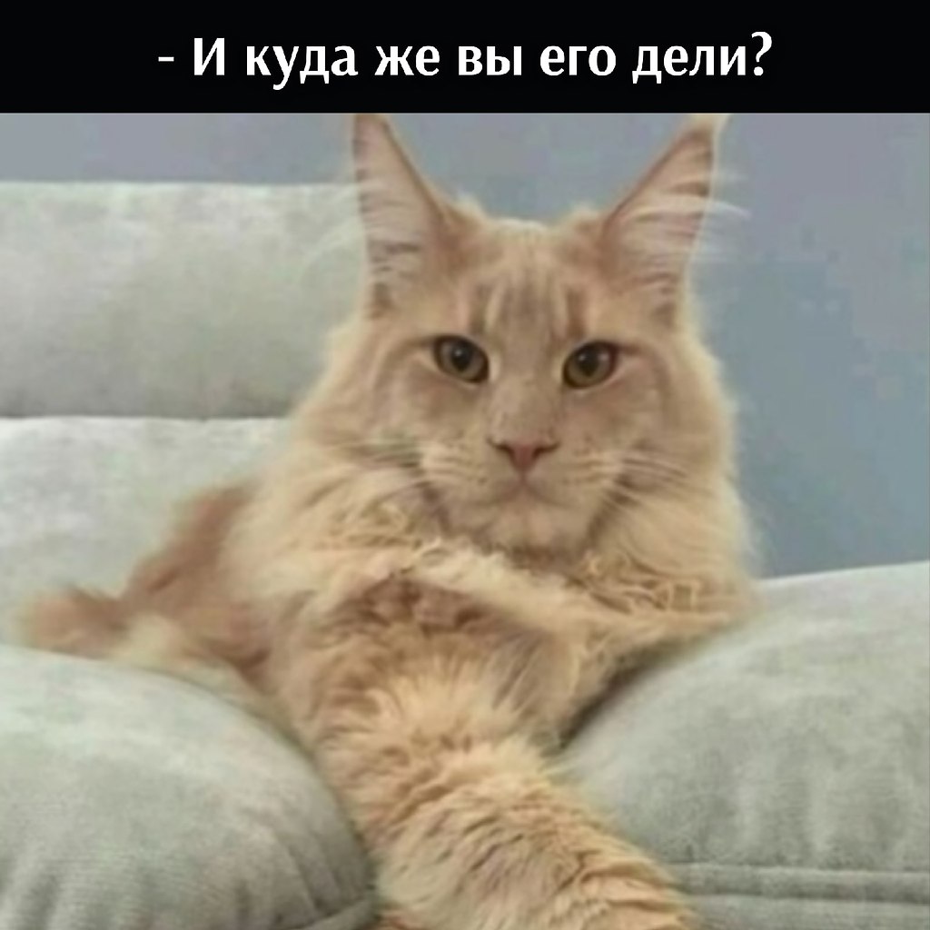 ��� ���� � ����� �� �� - 2 ������ 2026 � 21:03 - 3