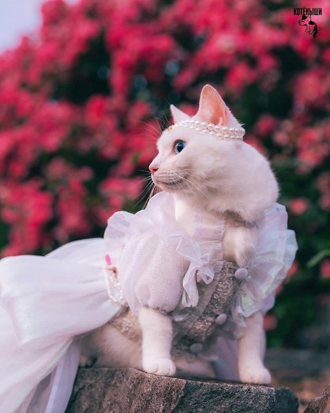 ��� ��� ����� ���������? - 2