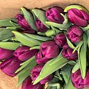 ���� ������, �����, 53 ���� - ��������� 5 ����� 2024 � ������ ���� ����������