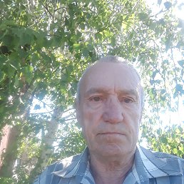 , 63, 