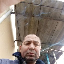 ���� ������, �����������, 47 ��� - ��������� 1 ����� 2024