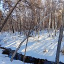 ���� ��������, ����, 74 ���� - ��������� 1 ����� 2026 � ������ ���� ����������