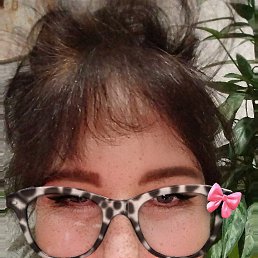 ���� �����, ���������, 66 ��� - ��������� 24 ������� 2025