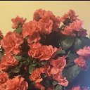 ���� �������, ���������� - ��������� 6 ����� 2025 � ������ ���� ����������