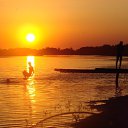 ���� ����, �������� - ��������� 19 ������ 2026