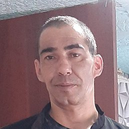 ������, �����������, 36 ���