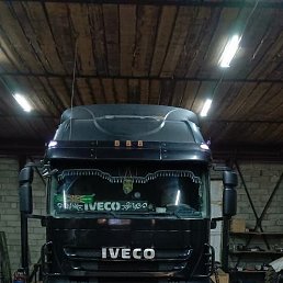 �����, ������, 41 ���