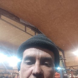 ����, 42 ����, �����������