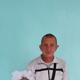 , 54, 