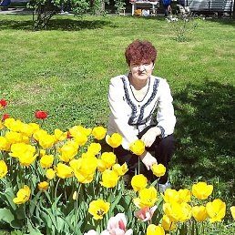 �����, �����������