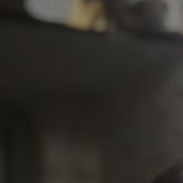 ������, ������, 49 ���