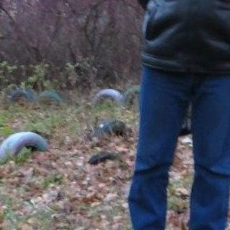 ��������, �����-���������, 51 ���