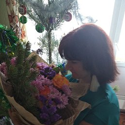 ����� ���������, ������, 37 ���