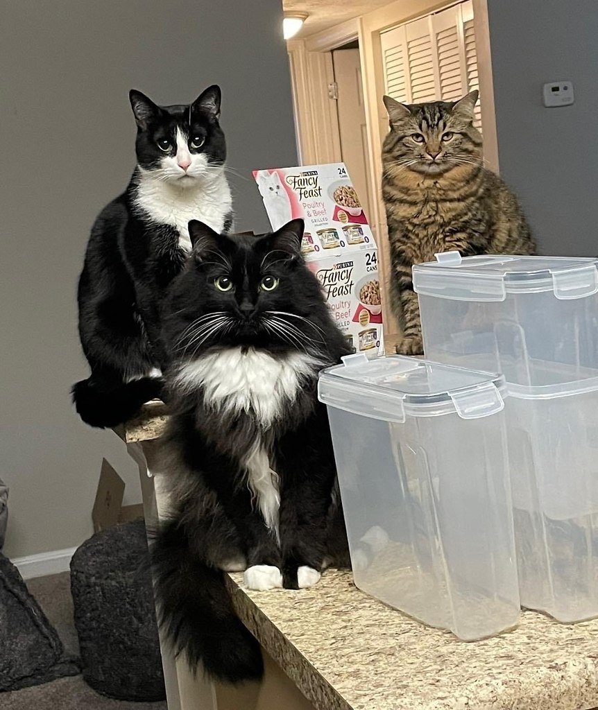     15 .