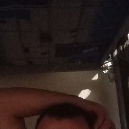 ���� ����, ������, 47 ��� - ��������� 11 ����� 2024