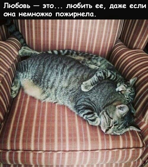    - 1  2023  23:33