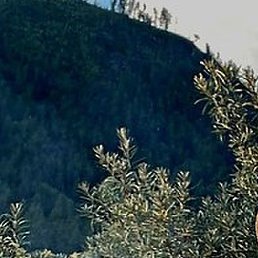 Nikolay, ������, 42 ����