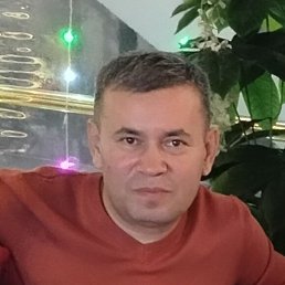 , 40, 