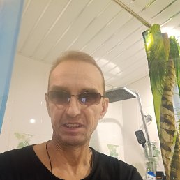 , 51, 