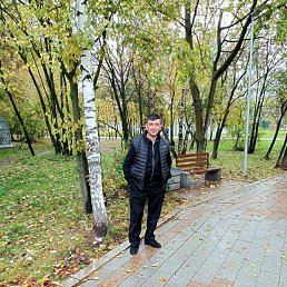 �����, ������, 51 ���