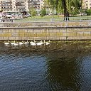  , , 37  -  7  2025    