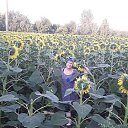 ���� ����, �������, 60 ��� - ��������� 14 ������� 2024 � ������ ���� ����������