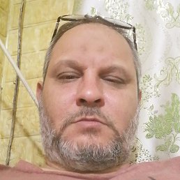 Bv, , 50 