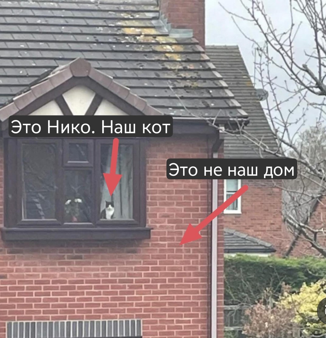 Кормят и тут и там. Плохо что ли?
