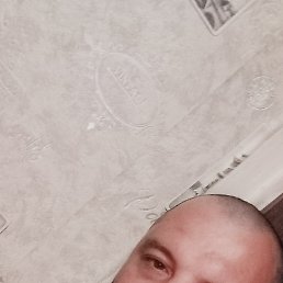 , 42, 