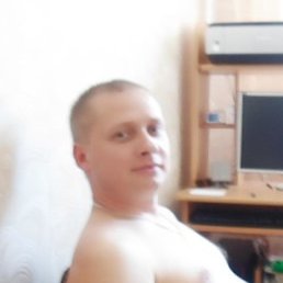 ����, ����