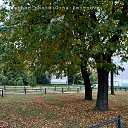  Gina Smirnova, -, 46  -  6  2025    