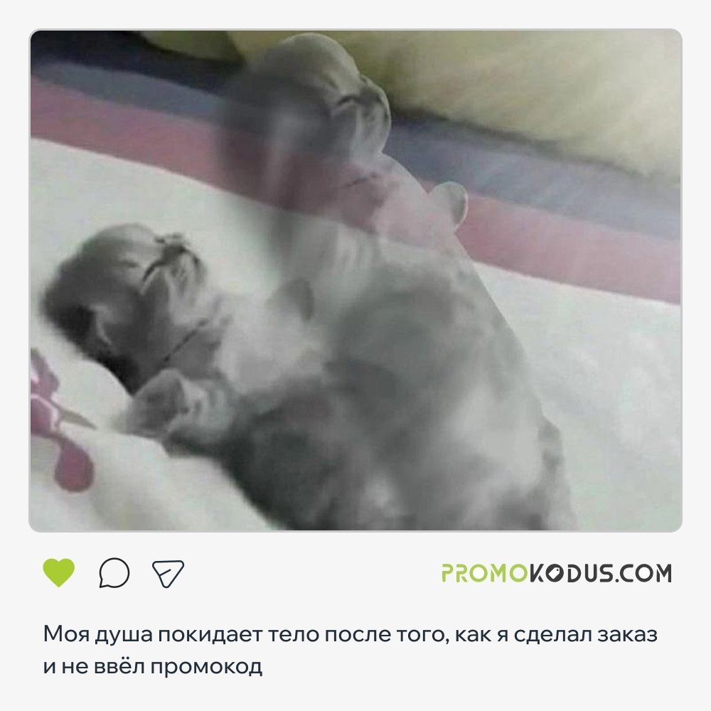 ������ ������, �� �� ������ ������� �� �� ����� ��������? ���������� ��� �� ����� �� ����: ����, ...