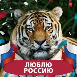 �������, ����, 51 ���