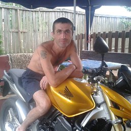 , 44, 